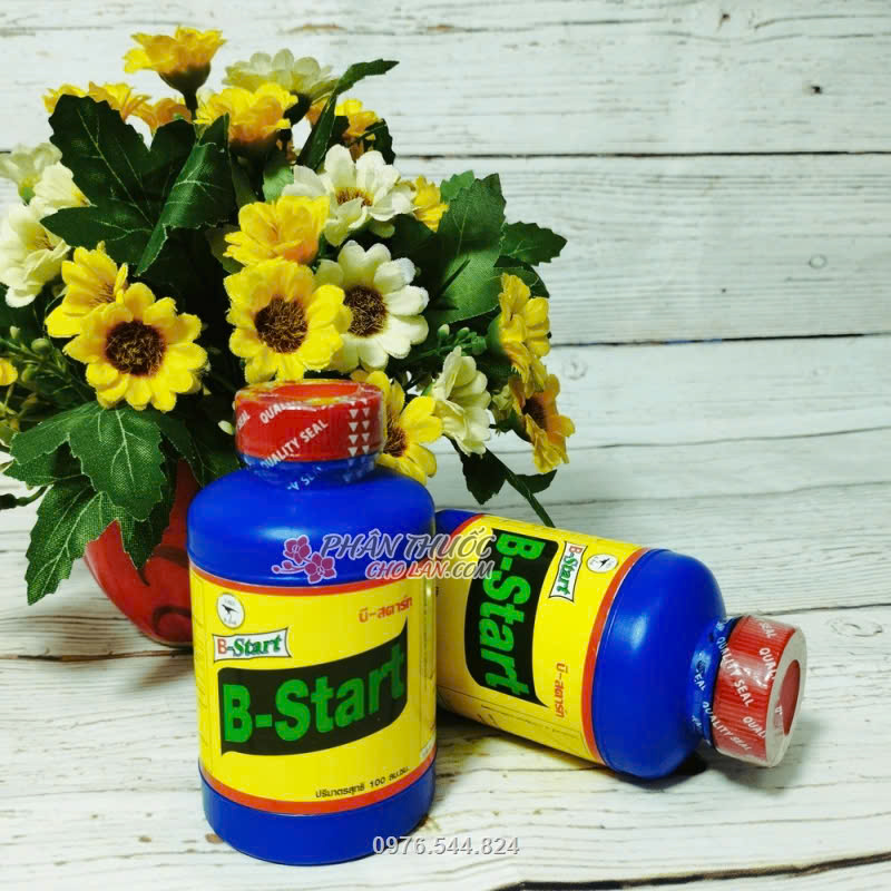 Sản phẩm B1 được nhà sản xuất cập nhật mẫu mới Phân bón lá cao cấp vitamin b1 chất lượng tốt lọ 100ml