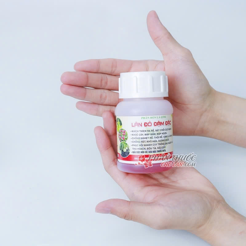 Sản phẩm được cập nhật mẫu mã mới