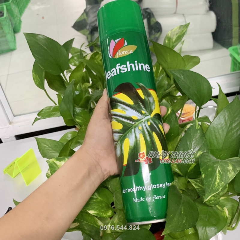 Sản phẩm tạo cho tán lá cây cảnh, hoa kiểng... luôn xanh khỏe, bóng đẹp tự nhiên Sản phẩm tạo cho tán lá cây cảnh, hoa kiểng... luôn xanh khỏe, bóng đẹp tự nhiên
