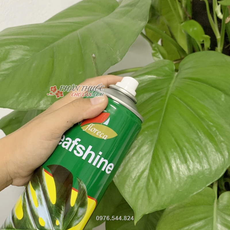 Sản phẩm dạng chai xịt tiện lợi không cần pha chung với dung dịch khác Sản phẩm dạng chai xịt tiện lợi không cần pha chung với dung dịch khác