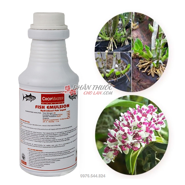 Sản phẩm được dùng cho hoa phong lan giúp cây đâm trồi và ra hoa