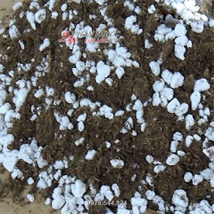 Trộn chung đá trân châu với đất để giúp đất tơi xốp và giữ ẩm tốt hơn