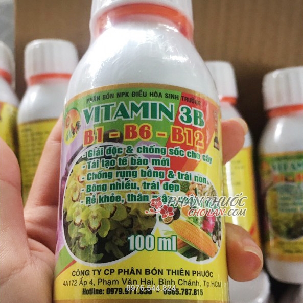 Vitamin 3B giúp cây giải độc, chống sốc, tái tạo tế bào, chống rụng bông, trái non...